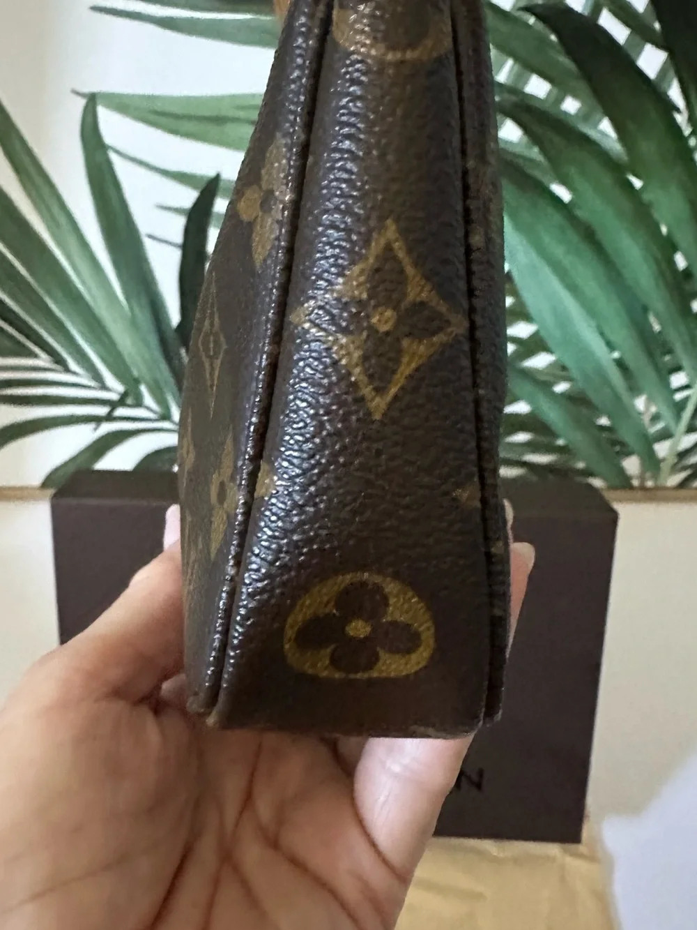 Louis Vuitton Monogram Pochette Accessoires  Bag